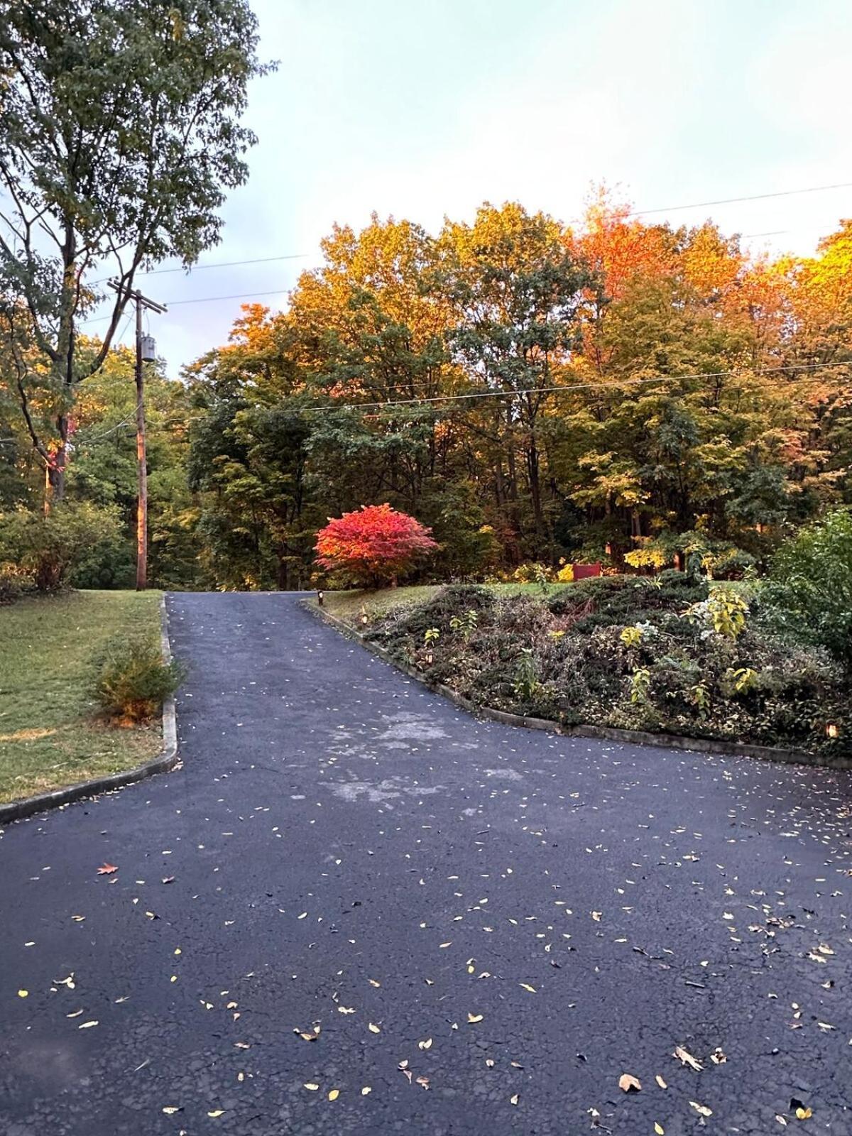 Cayuga Lake Cottage With Private Lake Access Washingtonville 외부 사진